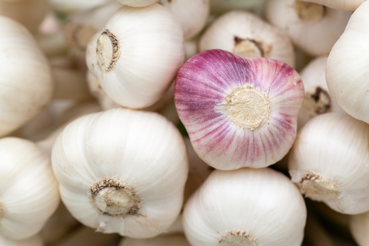 Ist Knoblauch gesund?