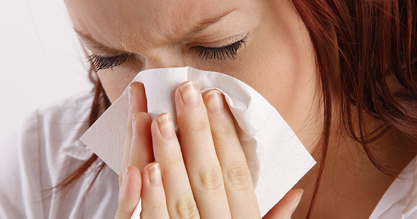 Entzündung der Nasennebenhöhlen – drei Heilpflanzen können Abhilfe schaffen