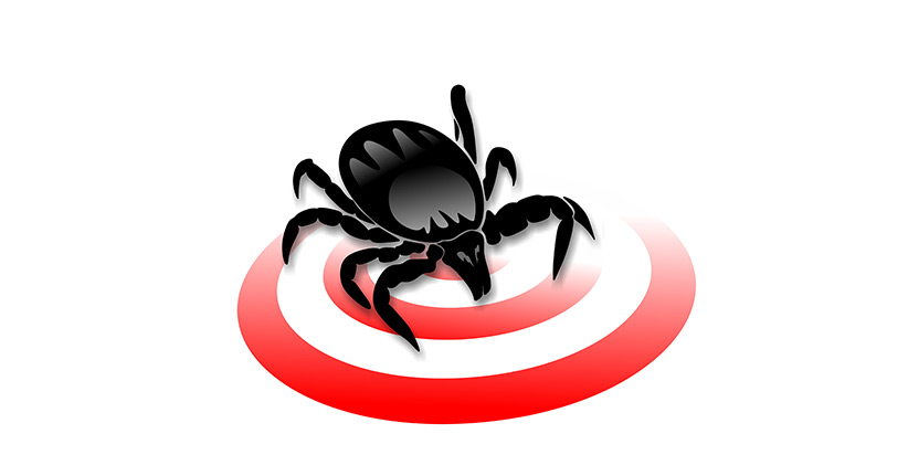 Borreliose Symptome und Auswirkung