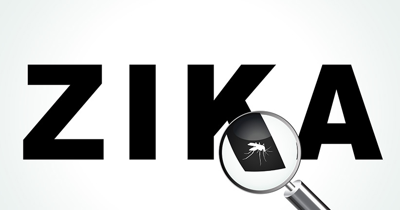 Das Zika-Virus – ein neuer Schrecken für die Welt?