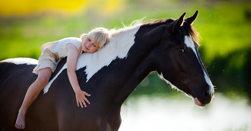 Reitferien – nicht nur für Pferdefreunde ein besonderes Erlebnis