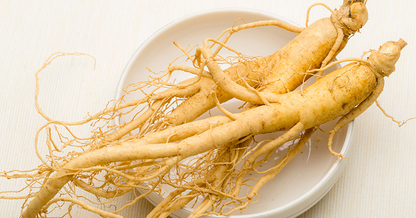 Ginseng – eine Wohltat für Körper und Geist