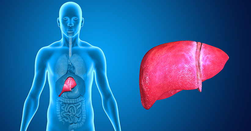 Lebererkrankungen – Warnzeichen