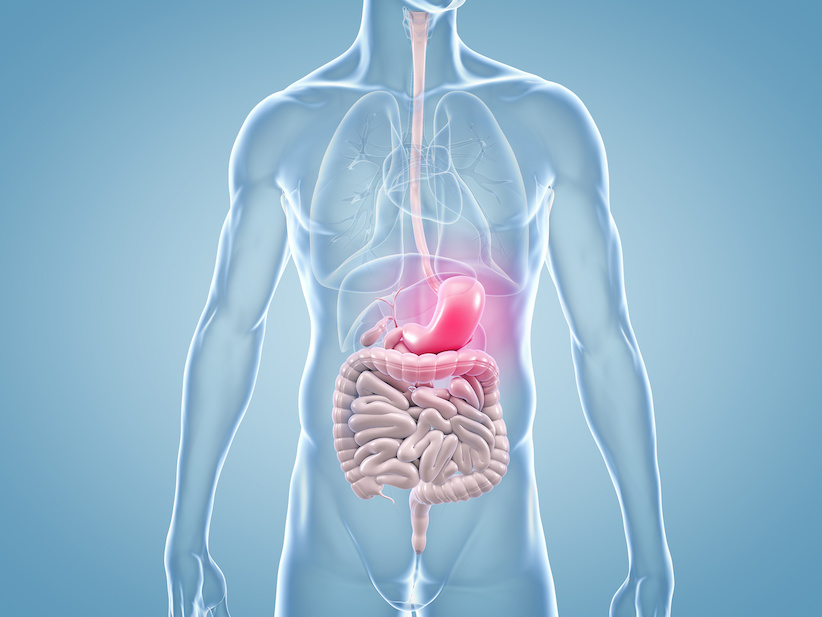 Magenkrebs – eine frühe Diagnose verbessert die Heilungschancen