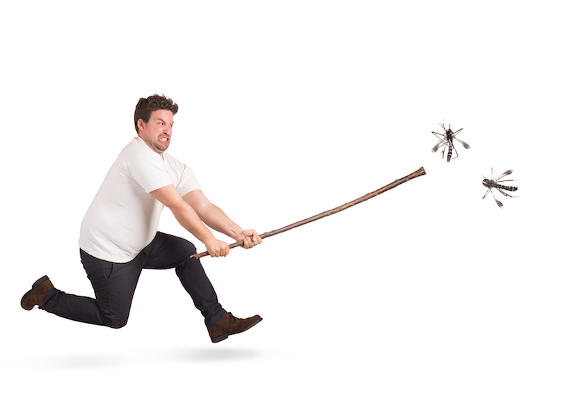 Mücken – was hilft wirklich gegen die kleinen Plagegeister?